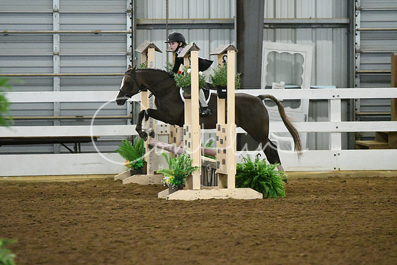 HSM_5230