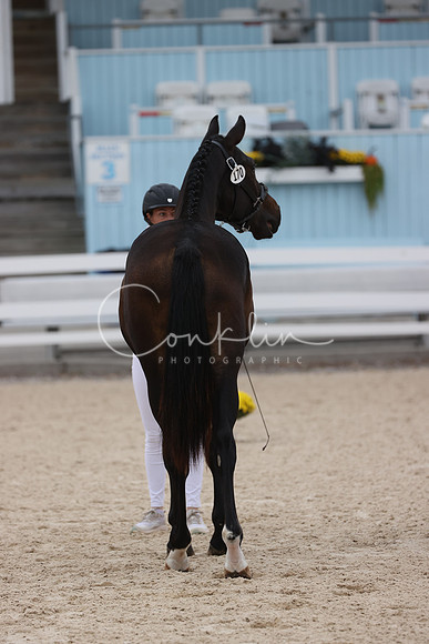 RJC38038