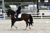 HSM_0682