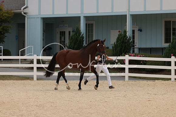 HLK_1575