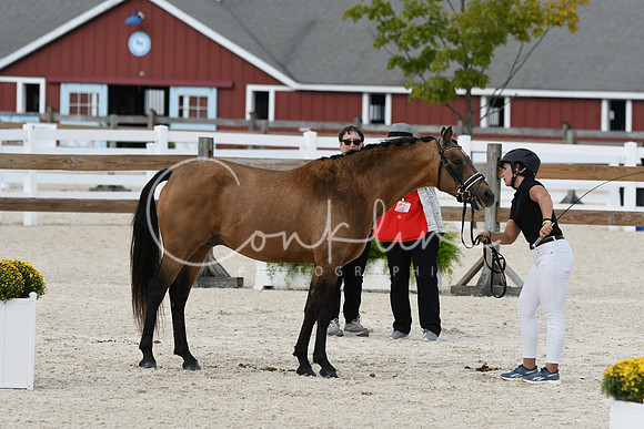 HSM_5393