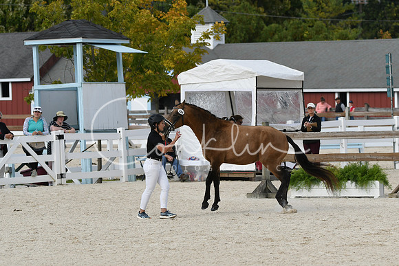 HSM_5422