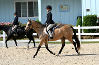 HSM_8258