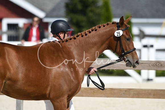 HSM_4889