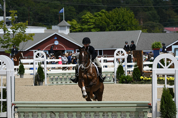 HSM_6978