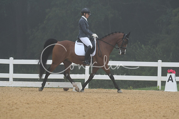 HSM_0833