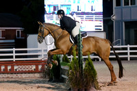 HSM_0604-1