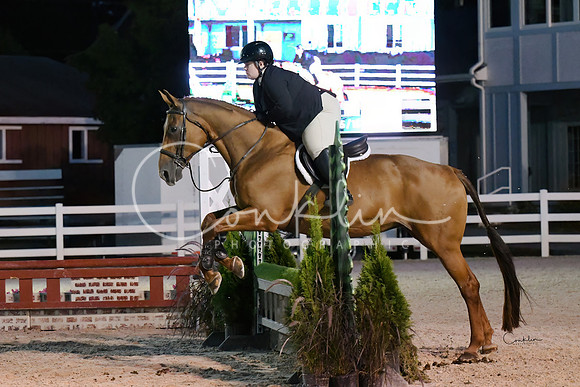 HSM_0604-1