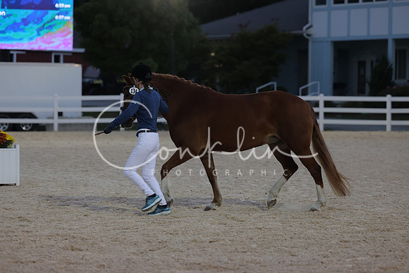 HLK_2455