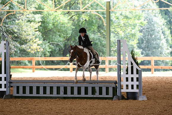 HSM_1132