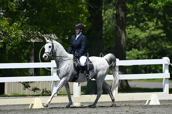 HSM_1527