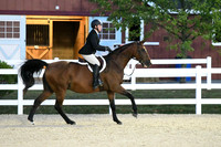 HSM_0557
