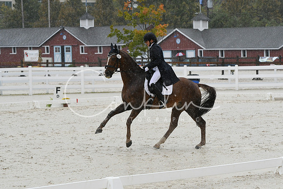HSM_0961
