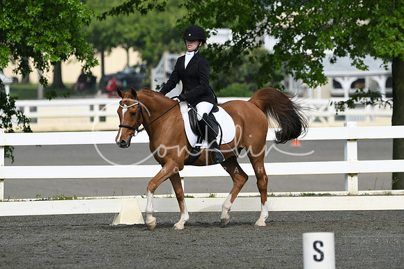 HSM_1033