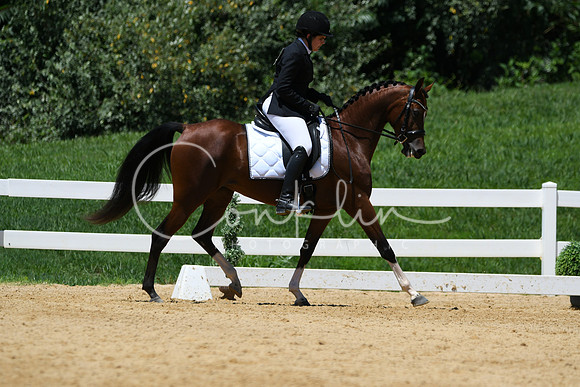 HSM_1511