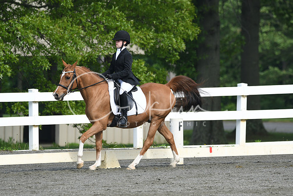 HSM_1036