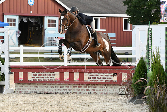 HSM_0351