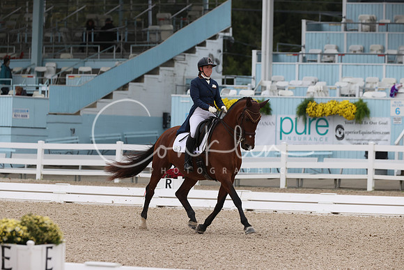 RJC33741