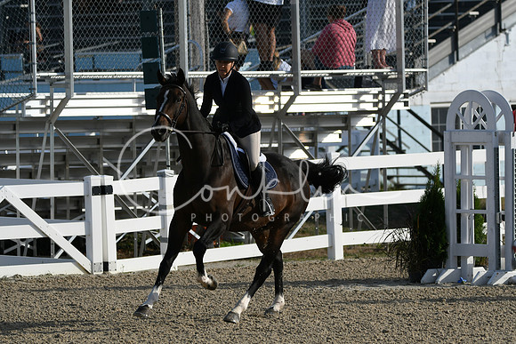 HSM_1304