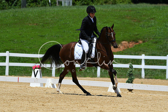 HSM_1520