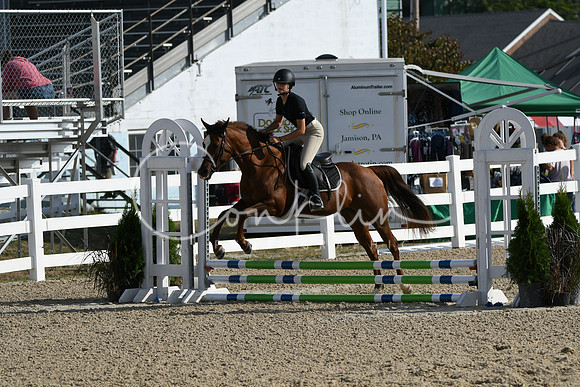 HSM_1496