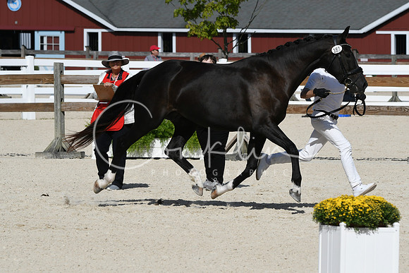 HSM_5207