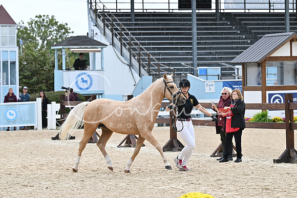 MAK_1482