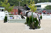HSM_4958