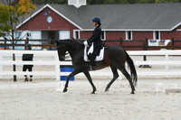 HSM_0874