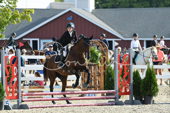 HSM_1441