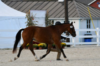 HSM_5472