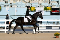 HSM_4276