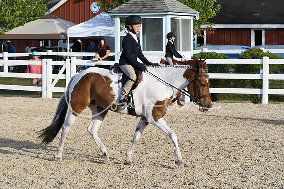 HSM_4554