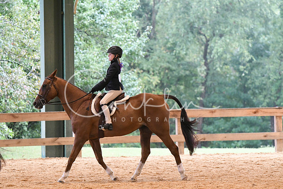 HSM_4295