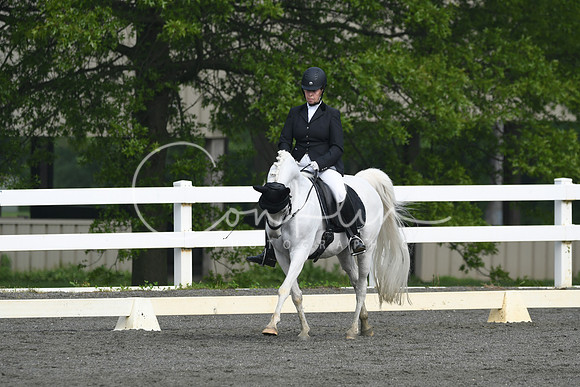 HSM_0979