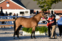 HSM_5644