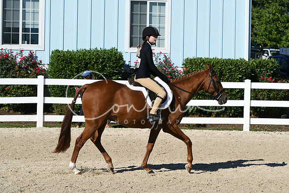 HSM_2298