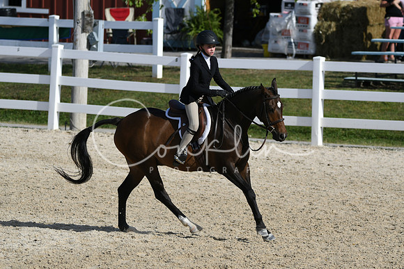 HSM_4079
