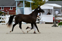 HSM_4862