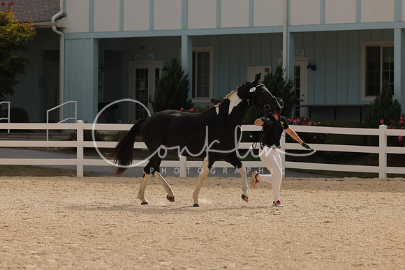 HLK_1714