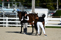HSM_4316