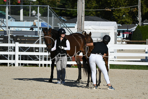 HSM_4316