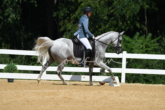HSM_1231