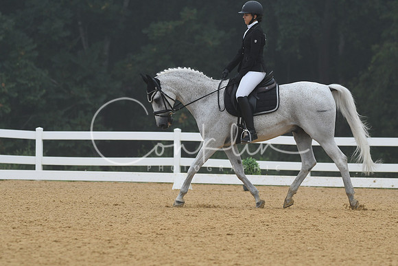 HSM_0911