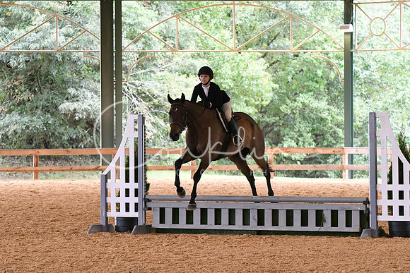 HSM_1294
