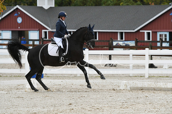 HSM_0649