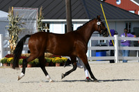 HSM_5340
