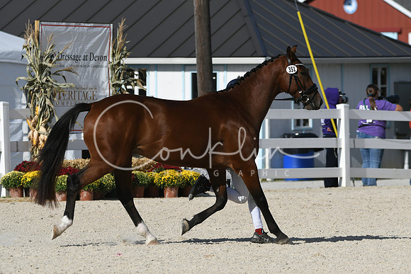 HSM_5340