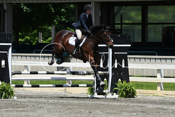 HSM_3164