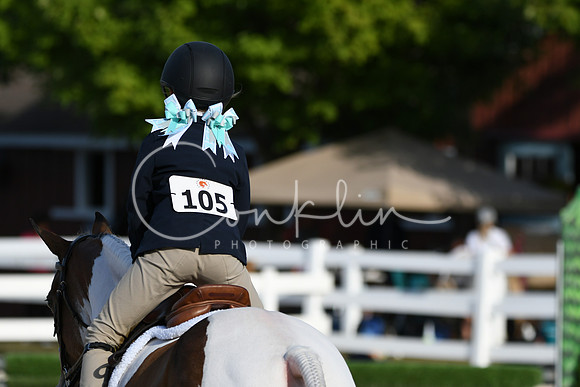 HSM_4313
